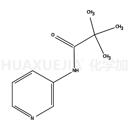 3-特戊酰胺基吡啶