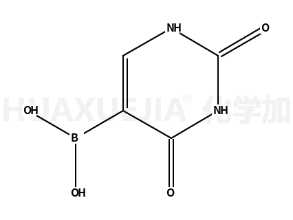 2,4-二羟基-5-嘧啶硼酸