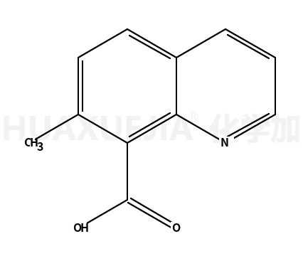 7-甲基喹啉-8-甲酸