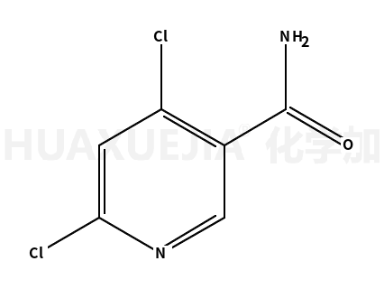 4,6-二氯吡啶-3-酰胺