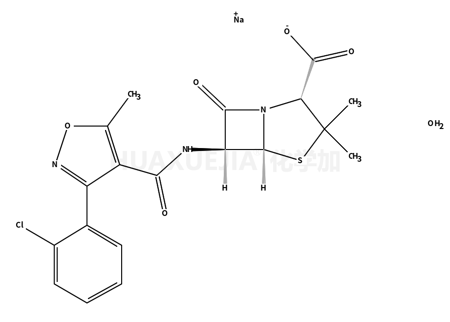 邻氯青霉素