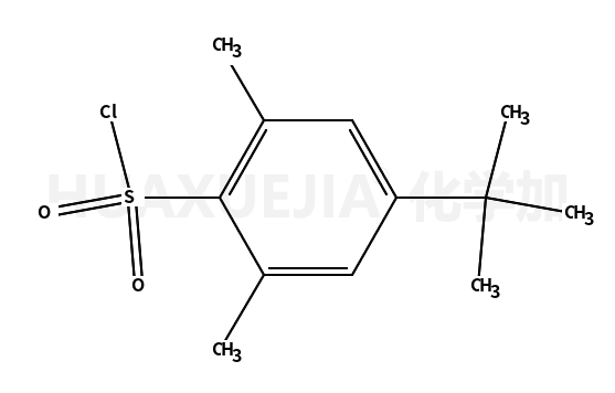 4-叔丁基-2,6-二甲基苯磺酰氯