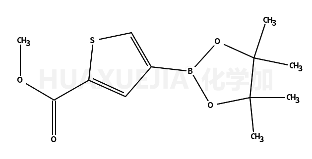 4-(4,4,5,5-四甲基-2-1,3,-二噁硼烷基)噻吩2-甲酸甲酯