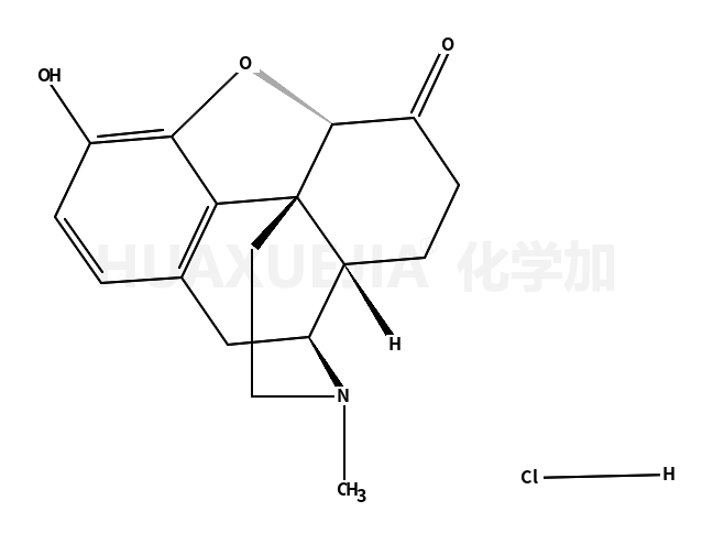 盐酸氢吗啡酮