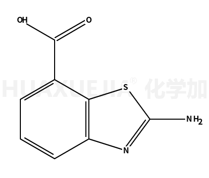 2-氨基苯并噻唑-7-甲酸