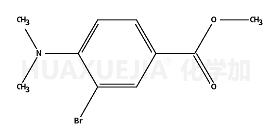 3-溴-4-(二甲基氨基)苯甲酸甲酯