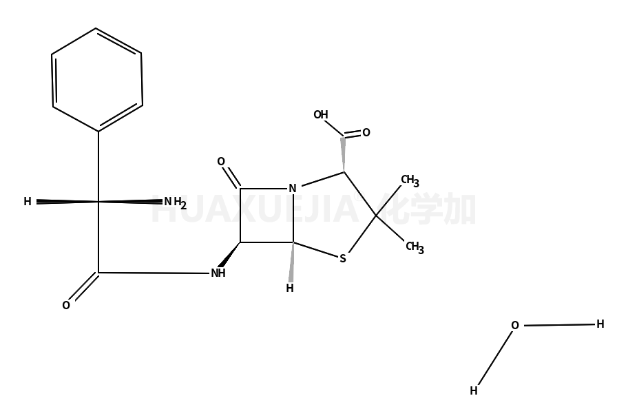 氨苄青霉素三水物