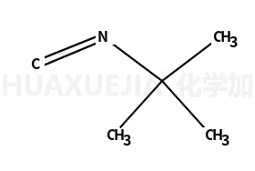 异氰酸叔丁酯