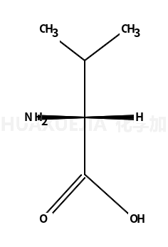 L-纈氨酸