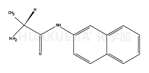 L-丙氨酰-2-萘胺