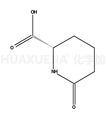 D-6-氧代哌啶-2-甲酸