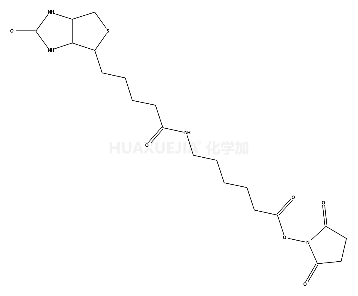 N-琥珀酰亚胺基6-生物素氨乙酸