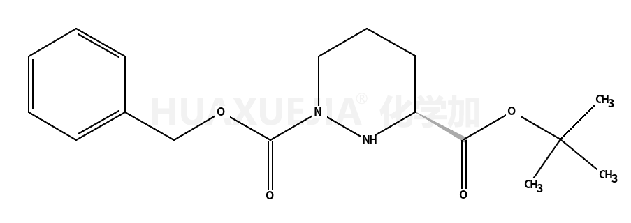 (S)-1-Benzyl 3-tert-butyl tetrahydropyridazine-1,3(2H)-dicarboxylate