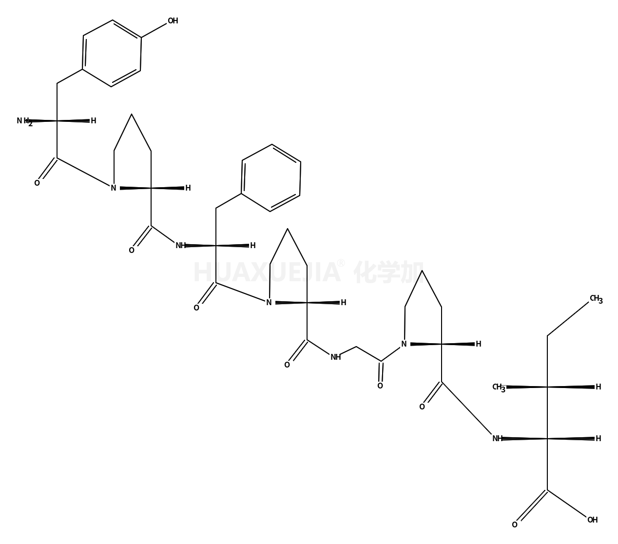 TYR-PRO-PHE-PRO-GLY-PRO-ILE