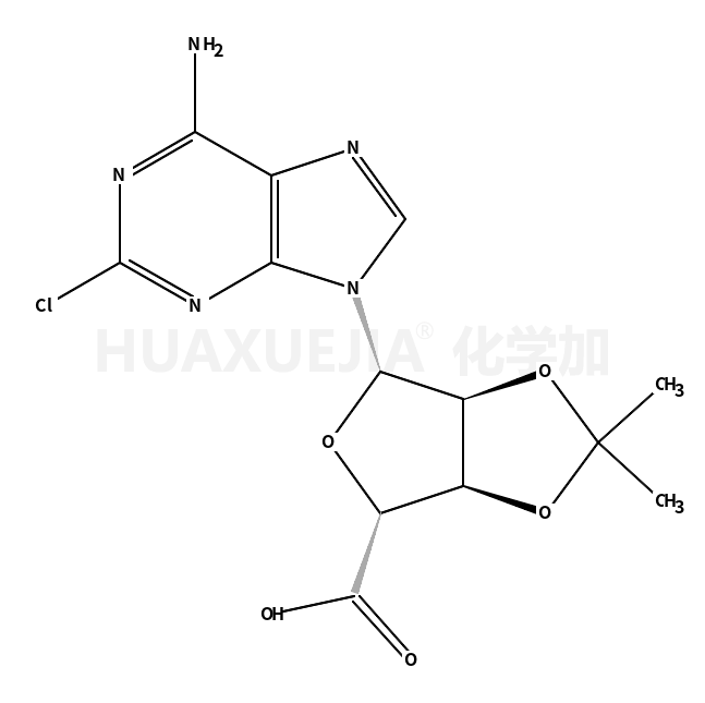 5’-羧基-2-氯-2’-3’-O-异亚丙基腺苷酸