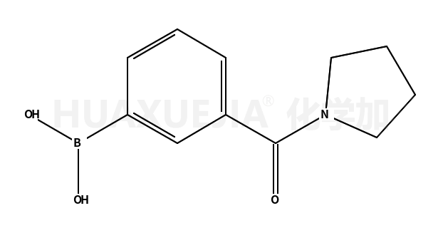 3-吡咯啉基羰基苯基硼酸