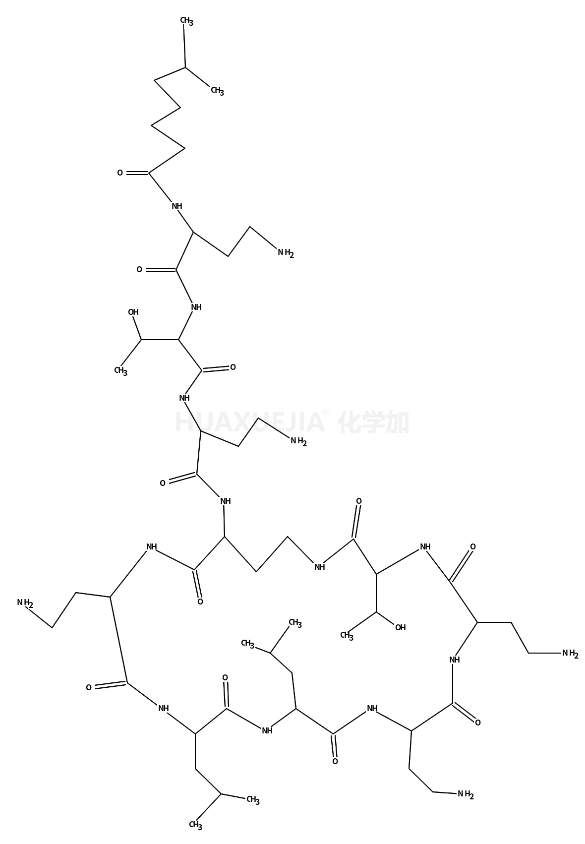 colistin B