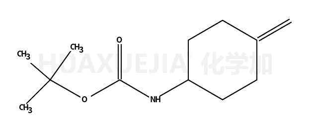 4-亚甲基环己烷氨基甲酸叔丁酯