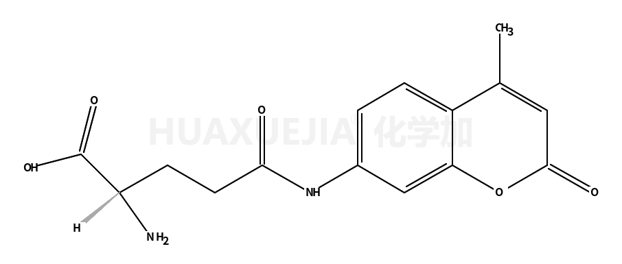 GAMMA-谷氨酸