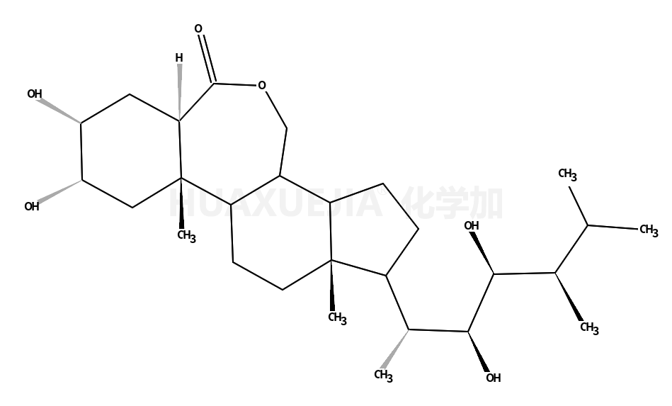 brassinolide