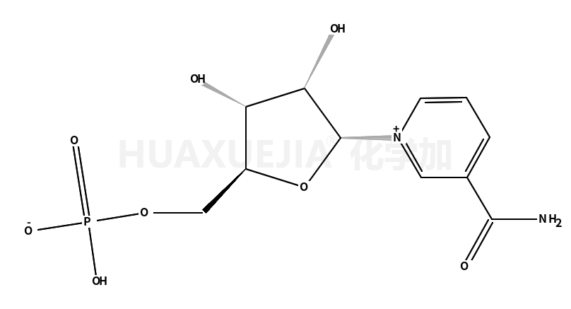 α-nicotinamide mononucleotide