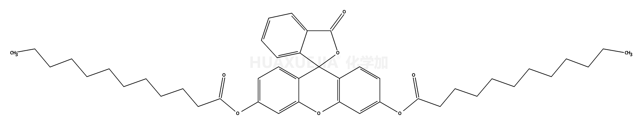 荧光素双十二酸酯