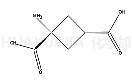 1-氨基环丁烷-反式-1,3-二羧酸