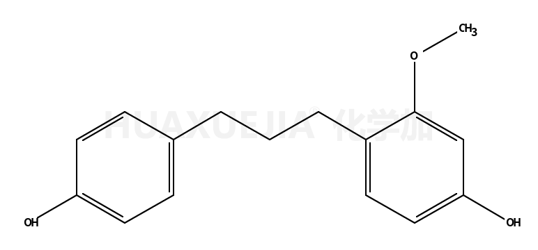 构树宁B