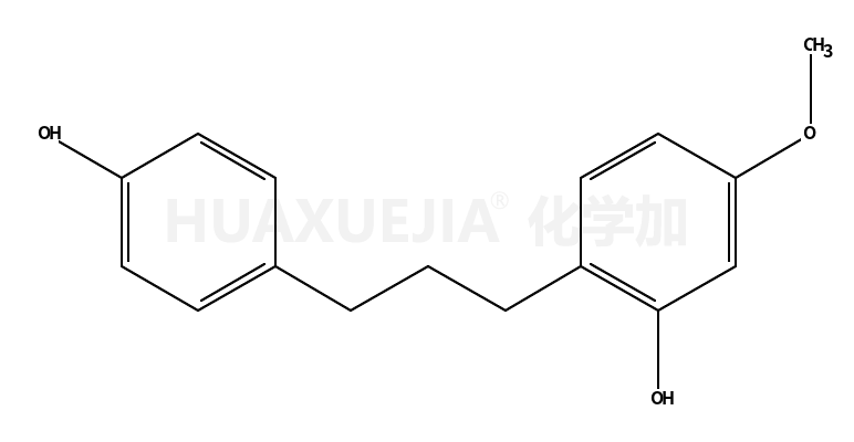 构树宁A