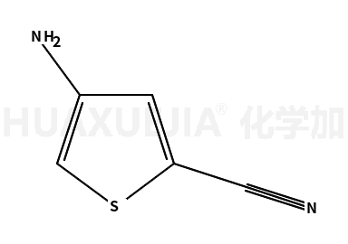 4-氨基噻吩-2-甲腈