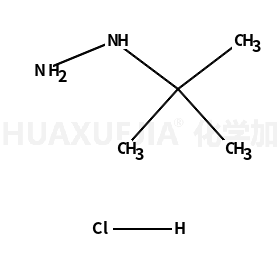叔丁基肼盐酸盐