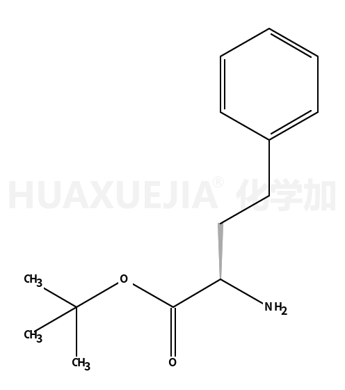 D-Homophenylalanine tert-Butyl Ester