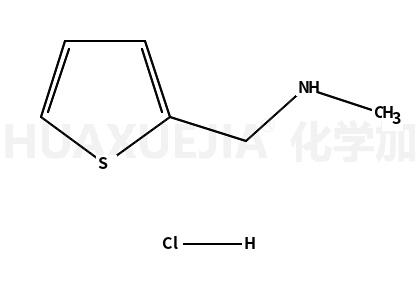 N-甲基-2-噻吩甲胺鹽酸鹽