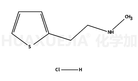 甲基-(2-噻吩-2-基-乙基)胺盐酸盐
