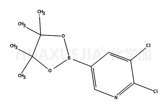 5,6-二氯吡啶-3-硼酸频那醇酯