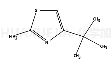 2-氨基-4-叔-丁基噻唑