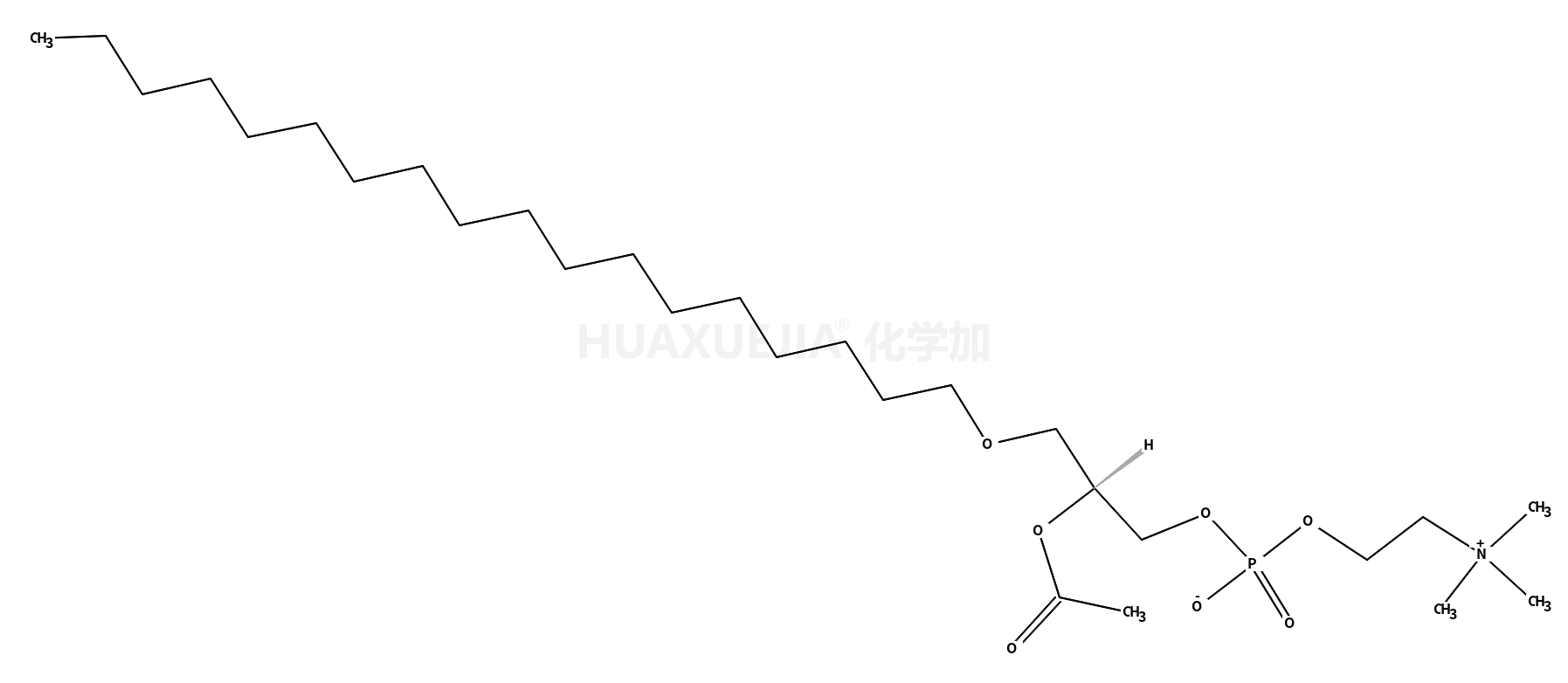 1-O-octadecyl-2-acetyl-sn-glycero-3-phosphocholine