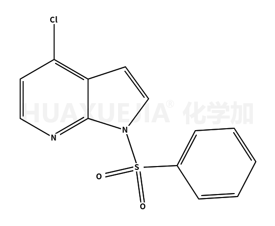 4-氯-1-苯磺酰基-1H-吡咯并【2,3-B】吡啶