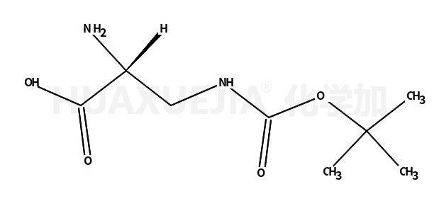 H-Dap(Boc)-OH