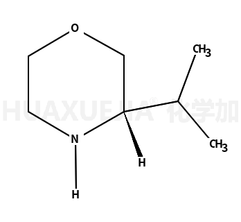 (S)-3-异丙基吗啉