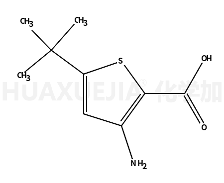 2-噻吩羧酸,3-氨基-5-(1,1-二甲基乙基)-(9CI)