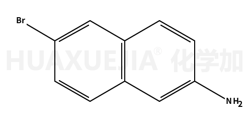 6-溴-2-氨基萘
