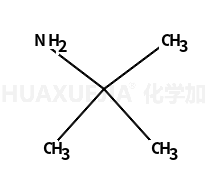 叔丁胺
