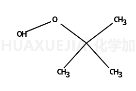 叔丁基过氧化氢