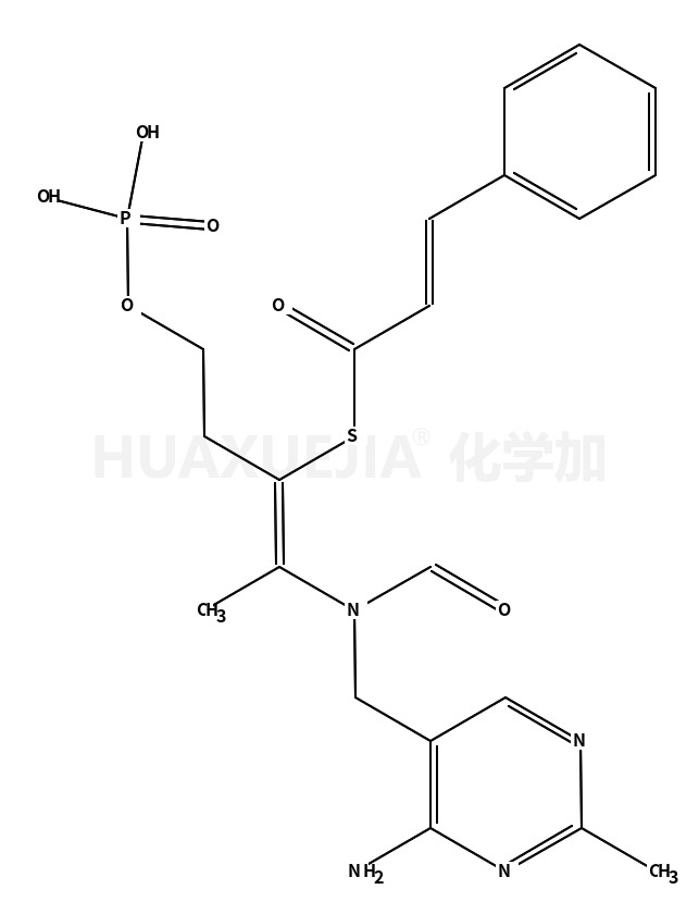 3-苯基-2-硫代丙烯酸 S-[2-[[(4-氨基-2-甲基-5-嘧啶基)甲基]甲酰氨基]-1-[2-(磷酰氧基)乙基]-1-丙烯-1-基]酯