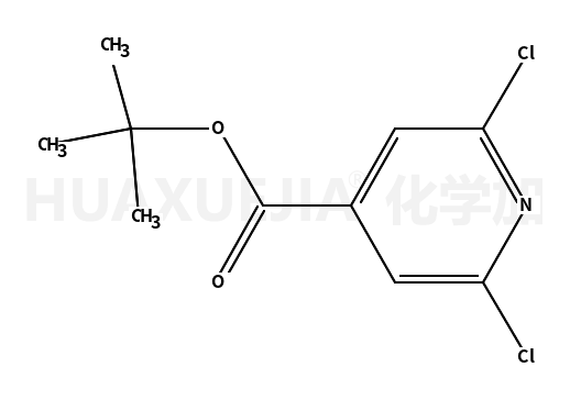 2,6-二氯吡啶-4-甲酸叔丁酯