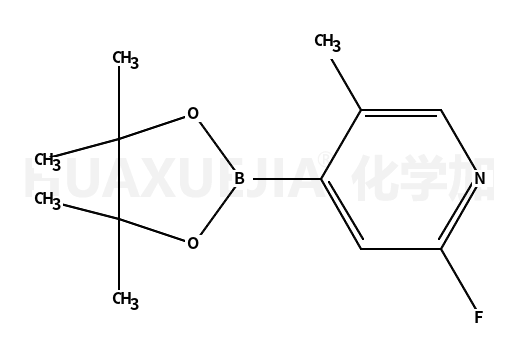 2-氟-5-甲基-4-(4,4,5,5-四甲基-1,3,2-二氧硼烷)吡啶