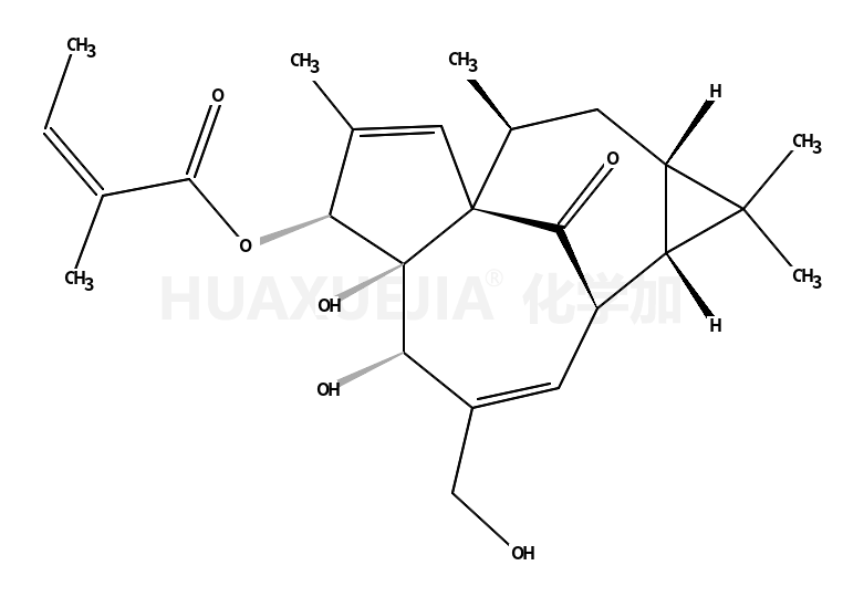 巨大戟醇-3-O-当归酸酯