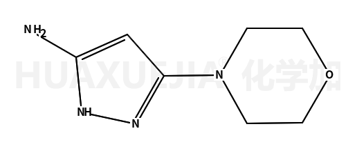 5-嗎啉-1H-吡唑-3-胺
