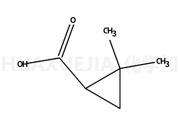 2,2-二甲基环丙甲酸